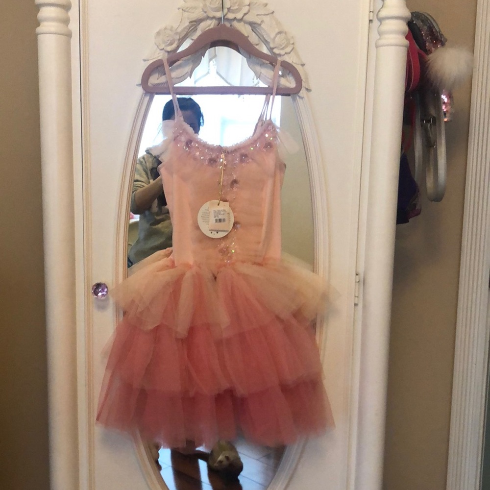 Tutu Du Monde NWT Gorgeous dress Sz 8-9